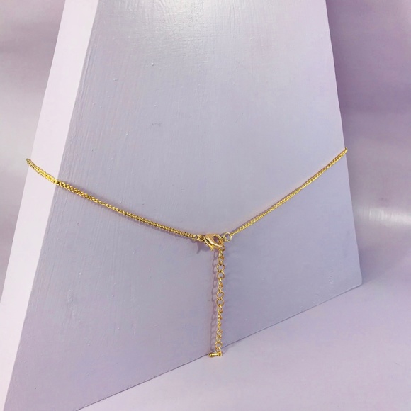 Tortoise Bar Collar - Picture 7 of 7